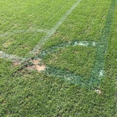 La UEFA obliga al Malmoe a estrechar dos metros el césped