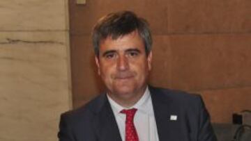 Miguel Cardenal, secretario de Estado para el Deporte.