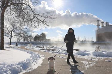 Attention dog owners: This is the temperature that is considered too cold to walk your dog in winter