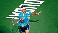 Ferrer se medirá en semis con Gasquet