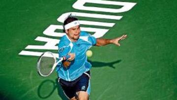 David Ferrer.
