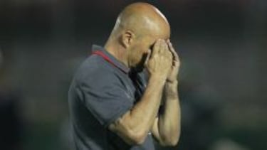 ¿Quieren que siga? ¿Quieren que pare?