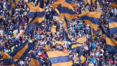 Luis Raúl González aclara malentendidos con escudo de Pumas