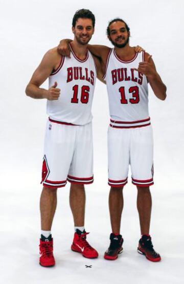 Pau aterriz¨® en Chicago Bulls en el verano de 2014. All¨ª jug¨® dos temporadas y fue all star las dos, en 2015 y 2016. As¨ª complet¨® sus seis all star disputados en la NBA. En 2015 lleg¨® a segunda ronda de playoffs.