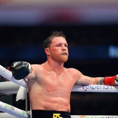 Crawford se une a la lista: los tres boxeadores que han ganado a Canelo