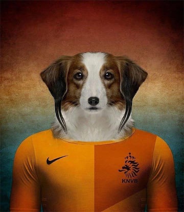 Así serían las selecciones de un Mundial canino