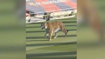 El jugador ya viaja hacia Barcelona.