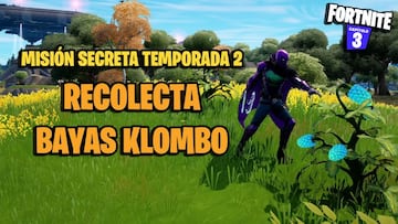 Misi&oacute;n secreta de Fortnite: &iquest;d&oacute;nde encontrar Bayas Klombo?