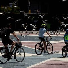 Actividades para hacer en este Día del Niño