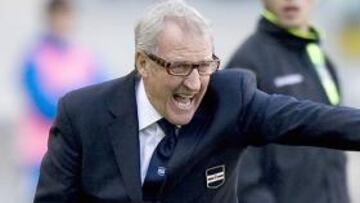 <strong>DEL NERI.</strong>