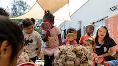 Los cinco jardines infantiles que fueron reconocidos en el programa Del Aula a la Comunidad