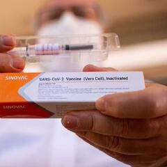 Vacuna Sinovac en Chile: cuántas dosis han llegado hoy y cuándo comenzará su distribución