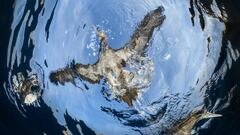 Watch out above: This bird poops every 10 minutes, scientists say