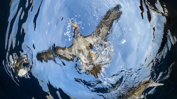 Watch out above! Scientists say Streaked Shearwaters poop mid-flight every 10 mins—dropping 5% of body mass and shaping marine ecosystems.