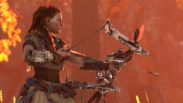 Captura de pantalla - Horizon: Zero Dawn (PS4)