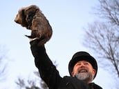Día de la Marmota: Phil sale de su madriguera cumpliendo la tradición y predice cuánto durará el invierno