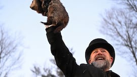 Día de la Marmota: Phil sale de su madriguera cumpliendo la tradición y predice cuánto durará el invierno