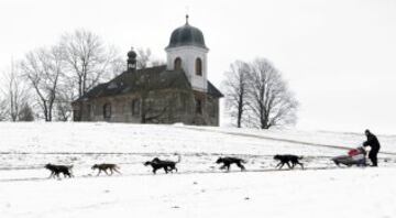 Bonitas imágenes de una de las carreras de trineos con perros más largas del continente. Cada año llegan a la aldea checa de Destne corredores de todas partes de Europa.