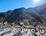 El durísimo final del Tour 2024: etapón de montaña y crono final con puertos