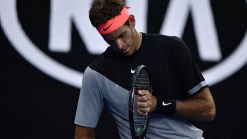 Del Potro 2-0 Nishioka: resumen y resultado del partido