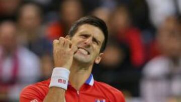 El tenista serbio Novak Djokovic celebra un punto ante el checo Radek Stepanek durante el partido correspondiente a la Copa Davis disputado en Belgrado, Serbia hoy 15 de noviembre de 2013.
