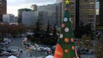 DE RÉCORD. El árbol mide 30 metros de altura y 12 metros de diámetro.