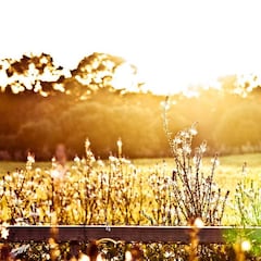 Bienvenidos a Susurros del campo, el blog de caza de AS