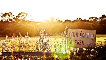 Bienvenidos a Susurros del campo, el blog de caza de AS