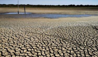 “El agua se agota”: ONU revela que hay “bancarrota hídrica” en el mundo, se agota el tiempo 