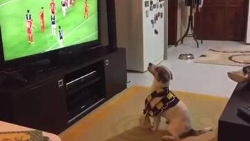 El perro fan del Fenerbahce que celebra así sus goles