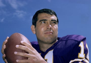 Kapp empezó su carrera con los Calgary Stampeders y BC Lions de la CFL para luego llegar a la NFL con los Minnesota Vikings en 1967.