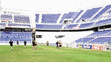 <b>POLÉMICA</b>. Nuevos problemas para la remodelación de La Rosaleda.