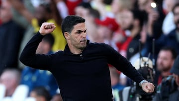 The Arsenal managed lamented that the world would be "different” had certain decisions gone their way.