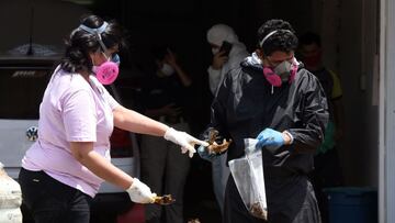 Mapa y cifras de casos de coronavirus por estados en Venezuela hoy, 28 de octubre