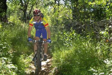 Las vacas cocean y los árbitros se confunden si piensan