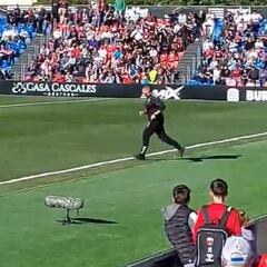 El entrenador del Eldense fue a la grada a ayudar a un aficionado que sufrió un golpe de calor