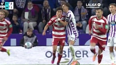 Un jugador del Valladolid besa a uno del Granada y su furibunda reacción le cuesta la roja