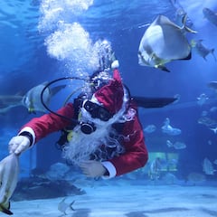 La pescadera más conocida pierde la cuenta de TikTok por maltrato animal: “Bailes ridículos y torturas injustificadas”