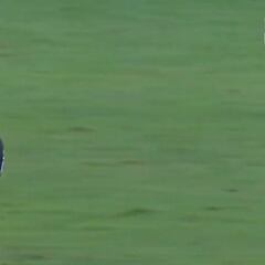 De la euforia al enojo: la insólita jugada de Edu Vargas