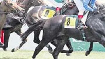 <b>CARA Y CRUZ </b>La ganadora Falaris (gorra roja) y Vraiwan (9).