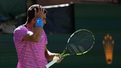 According to his agent, Albert Molina, the Spanish tennis player was stung during the invasion by a swarm of bees that led to the match being suspended.