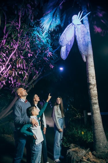 Vuelve ‘Naturaleza Encendida’ a Madrid con su espectáculo ‘LIFE’