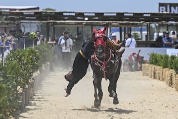 El 6 de junio  arrancó en Estambul la sexta edición del Festival Cultural Ethnosport, organizado por la Confederación Mundial de Etnodeporte. En el festival, que cuenta con la participación de unos 30 países, se exhiben deportes tradicionales, artesanías, sabores locales y juegos infantiles. En la imagen, un participante en una exhibición a caballo.