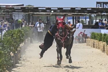 El 6 de junio  arrancó en Estambul la sexta edición del Festival Cultural Ethnosport, organizado por la Confederación Mundial de Etnodeporte. En el festival, que cuenta con la participación de unos 30 países, se exhiben deportes tradicionales, artesanías, sabores locales y juegos infantiles. En la imagen, un participante en una exhibición a caballo.