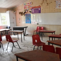 Promover la actividad y crear cursos: los cambios en las escuelas de Sheinbaum para 2025