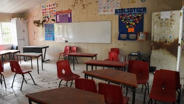 Promover la actividad y crear cursos: los cambios en las escuelas de Sheinbaum para 2025