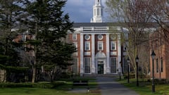 These are the 5 professions with the highest unemployment after college