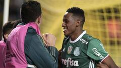 Yerry Mina