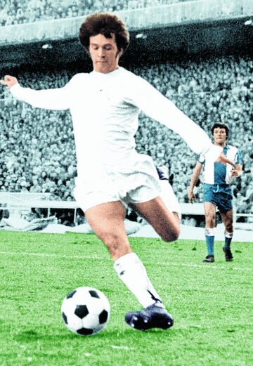 El argentino milit車 en el Real Madrid entre 1971 y 1973 y en el Betis entre 1973 y 1980.