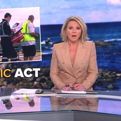 Un surfista se enfrenta a puñetazos con un tiburón blanco para salvar a su mujer